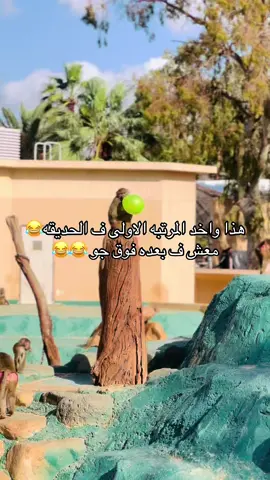 هذا تب معش ف بعده 😂😂😂 #حديقة_الحيوانات🐁🐀🐇🐈🐩🐕🐅🐐🦌🦙🐘🐘🦛🦒🐒 #حديقة_الحيوانات #حديقة_الحيوان_ابوسليم #ليبيا_طرابلس_مصر_تونس_المغرب_الخليج🇱🇾❤🔥#طرابلس_بنغازي_المرج_البيضاء_درنه_طبرق🇱🇾😍 