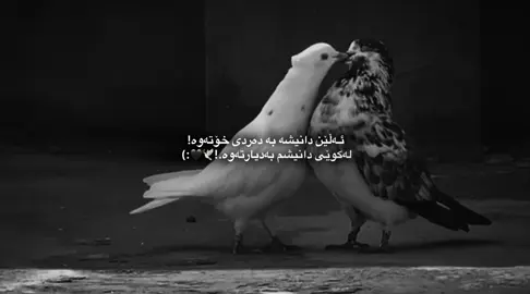 #bekas #accccccccccccccccccccccccccccccc #accccccccccccccccccccccccccccccc #accccccccccccccccccccccccccccccc #بێباک_گەرمیانی🖤✌🏽 
