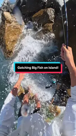 Why’s the water so blue #fishing #fishingvideos 
