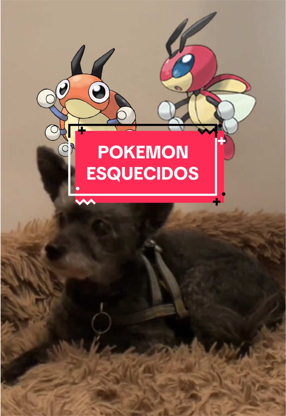 Hoje, vamos falar de alguns Pokémon que eu acho que são muito esquecidos!  #pokemon #pokemoncommunity #pokemongames 