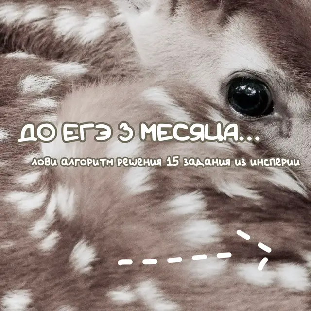 #инсперия #insperia #русский #егэ 
