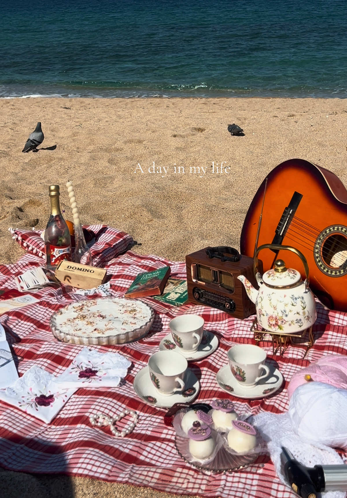 No title just vibes 📻🧺.                      #CapCut #picnic #fairuz #goodvibes #fyp 