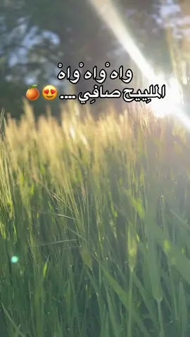 #explore #marocaine🇲🇦 #اكسبلور #تافراوتية_وأفتخر🌸💐😍 #taroudant 