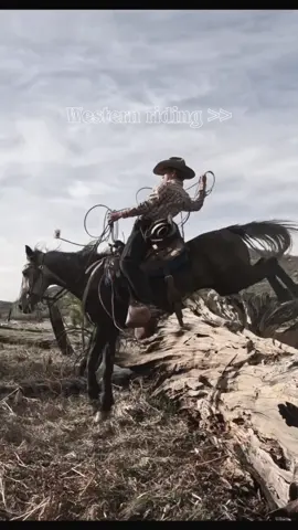 #horseriding #western #qeustion #horse #westernriding