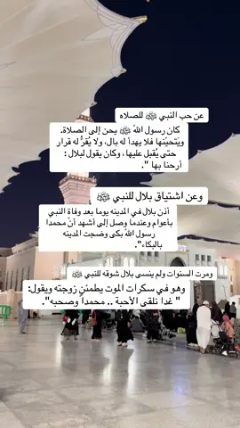 #المدينه_المنوره #المسجد_النبوي #الدعاء_هو_العبادة #حرم #المدينه 