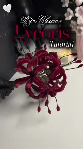 What flower should I make next?❤️✨#pipecleanercrafts #diytutorial #lycoris #giftidea #animefyp 