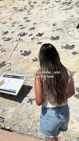 We made a stop at Dinosaur Ridge and I genuinely wasn’t prepared for how surreal it would feel. Actual dinosaur footprints, preserved in rock, right in front of you. It’s hard to wrap your head around the fact that something walked here millions of years ago! Def stop by if your in Colorado! 🦖🦕#dinosaurs #fossils #historytok #coloradotravel #roadtripusa 