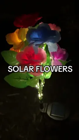 So pretty at night  #solarlights #solarflower #springvibe #outdoordecor 