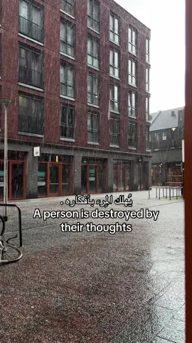 حسابي بدون مسيقىً  #following #expression #fyp #fy #quran 
