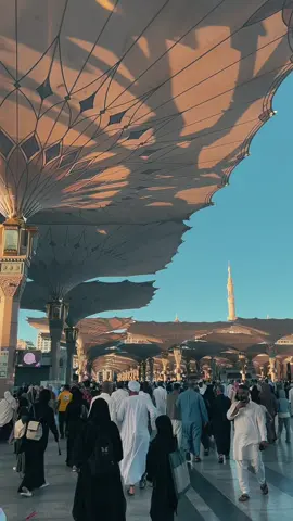madina🤍