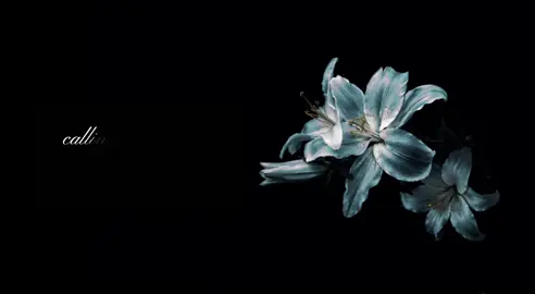 🎧salvatore-Lana Del Rey.                       #lurics#lanadelrey #foryou #fup #music 