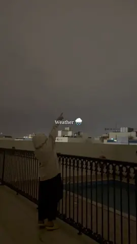 Weather in dubai💕❤️‍🔥#beautifull #foryou #foryoupage 