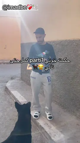 #كلاب_الشوارع #fyp #fouryo #الجزائريين #edits #الشعب_الصيني_ماله_حل😂😂 #الجزائر_تونس_المغرب_الاماراات_مصر #memes😂 #الكلاب #oran31 #dz #كلاب #كلاب_الشوارع_امانه #كلاب_كيوت #explorar #oran  @Nadir et Bouyka 🐶🇹🇯  @Nadir et Bouyka 🐶🇹🇯 @imad bn❤️‍🩹🕊 