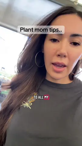 I’m a plant mom too 🤭🤭 #plants #succulents #gardening #gardentok #contentcreator 