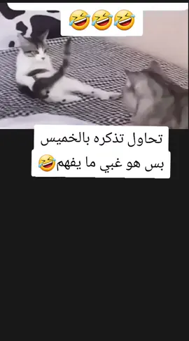 #tiktok #fyp #foryoupage #متابعه_ولايك_واكسبلووووووور #صنعاء_تعز_عدن_اب_ذمار_حجة_حضرموت 🇾🇪❤🤍🖤🥰🥰 