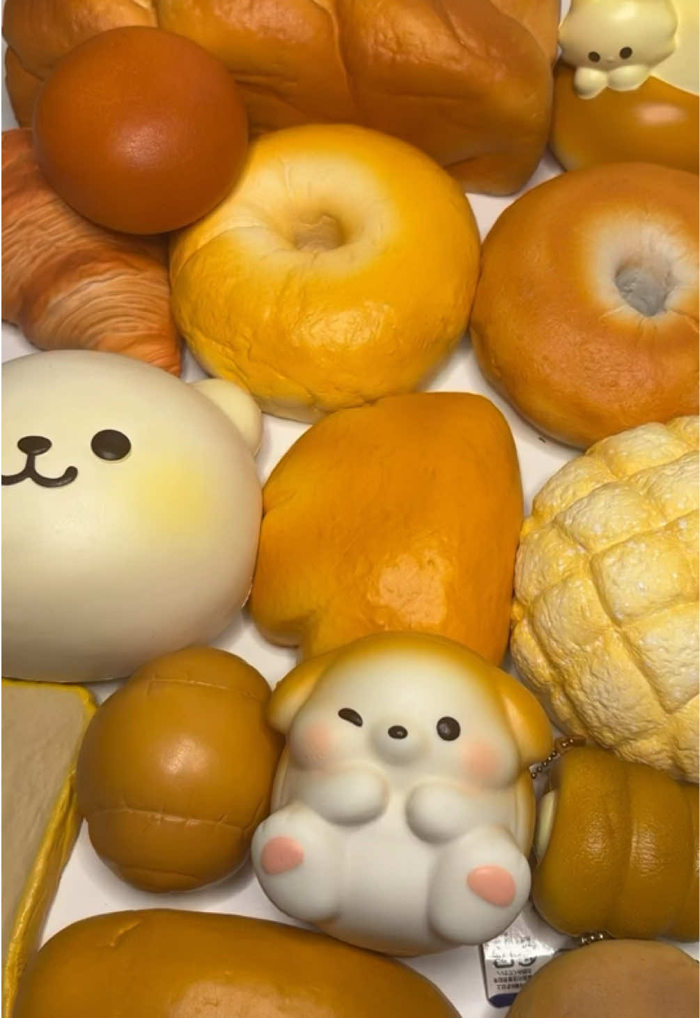 パン系スクイーズ🥖🍞リクエストあればコメントください💬 #スクイーズ #ブルーム #squishyasmr #squishy #squishycollection 
