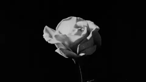 Às vezes eu preciso de um tempo sozinho… mas no fundo, só queria você aqui. #foryou #perdi #novemberrain #gunsnroses #viralvideo 
