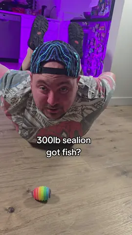 do u like this sealion? 🦭🦭