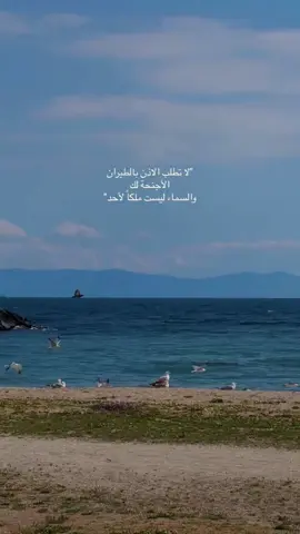 #كن_حراً_ولا_تكن_عبداً #CapCut #tiktok #viral 
