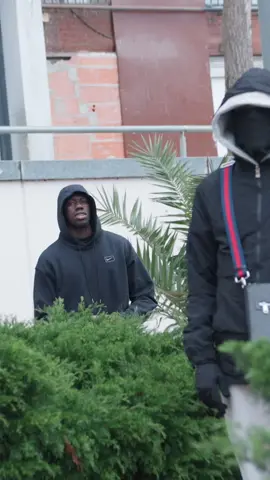 Ya disponible DILIGENCE‼️ @diiladiligence 