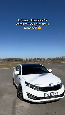 #331 четам болама ?