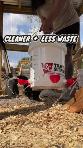 💦 Waterer should be set at the height of your chickens back. Reduces spills, dirty water and comfort. #chickencoop #homestead #tips #DIY #farm 