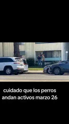 news update today #news #ultimahora #noticias #ice #california 