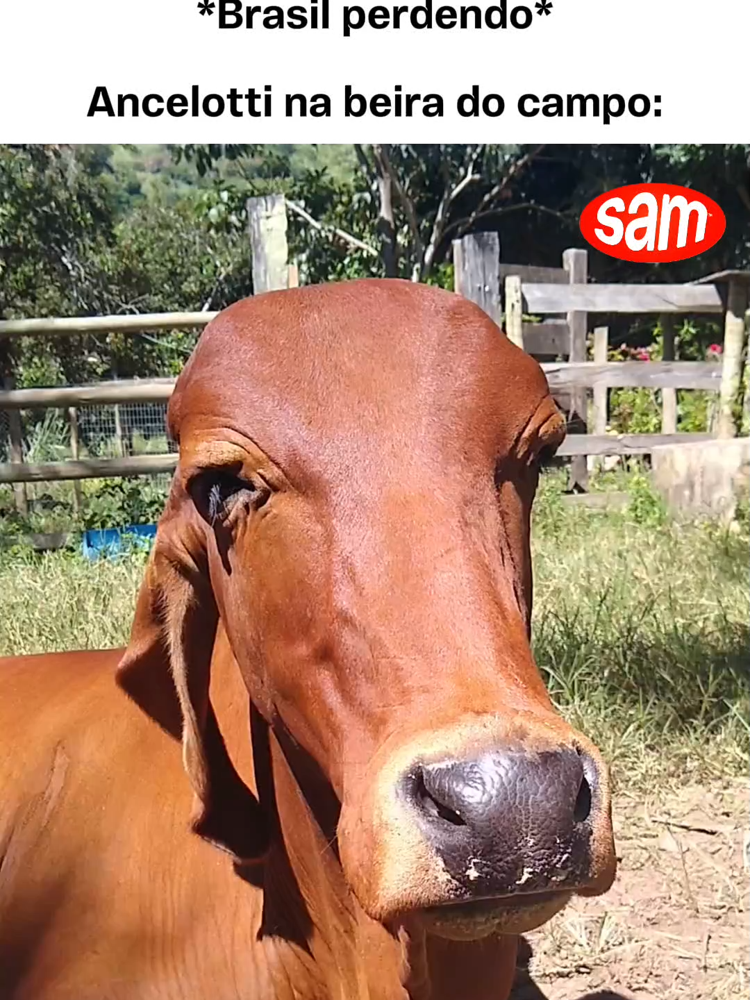 vamos vira no segundo tempo