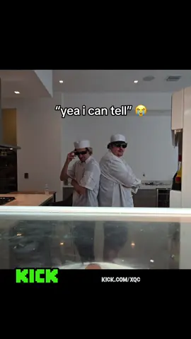 Xqc and Jesse cooking challenge stream intro #xqc #jesse #cooking #xqcclips #fatboyslim 
