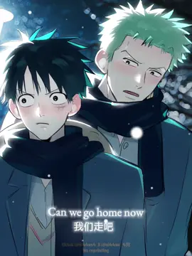 Can we go home now🥺#luzo#zolu#onepiece #meme