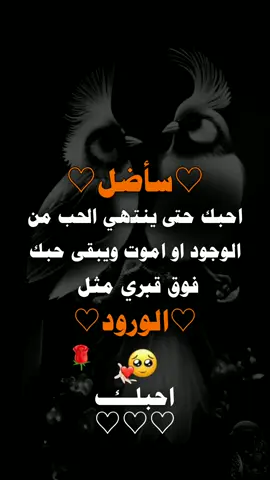 سأضل احبك حتى ينتهي الحب من الوجود او اموت ويبقى حبك فوق قبري مثل الورود 🥹🫀🫂🌹#عبارات_حب🥺❤🥹 #عبارات_جميلة_وقويه😉🖤 #اكسبلوررررر #تصميماتي✍ 