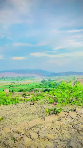 From the peak of the mountain a short clip of our beautiful area Shewa North Waziristan ❤️🥰 May Allah bring peace and prosperity in our beautiful homeland Ameen🤲 #spring #shewanorthwaziristan #eidulfiter2026 #fypシ゚ #pushtoosong 