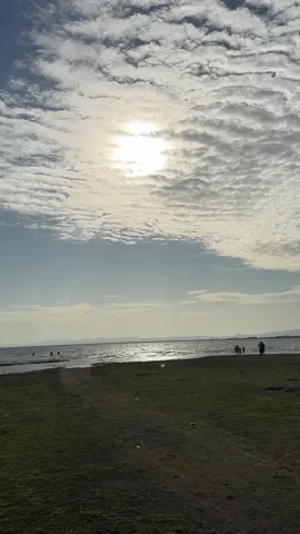 #foryou 🐊