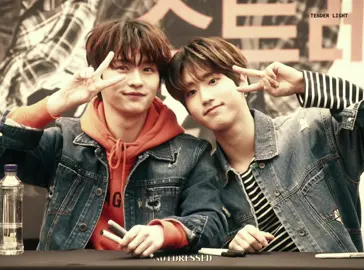 #LEEKNOW X #HAN | love them so much | #straykids #edit #fyp 