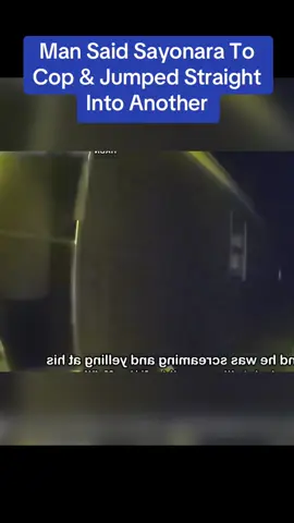 Man Said Sayonara To Cop & Jumped Straight Into Another   