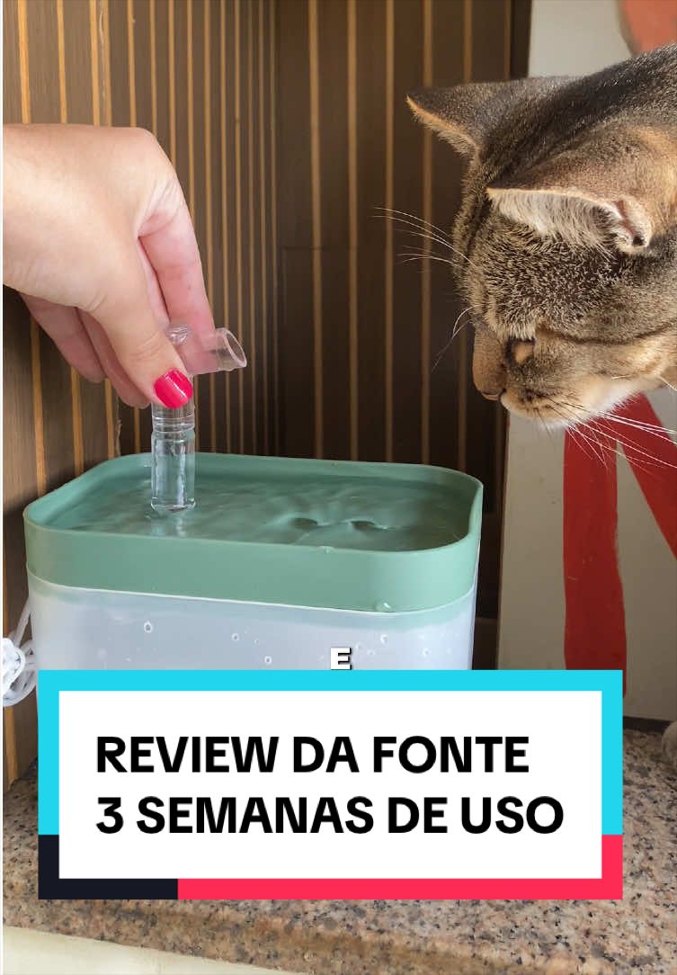 Considerações após 3 semanas uso da fonte de água!! #fonte #gatos 
