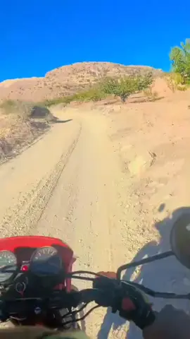 #عرسال 