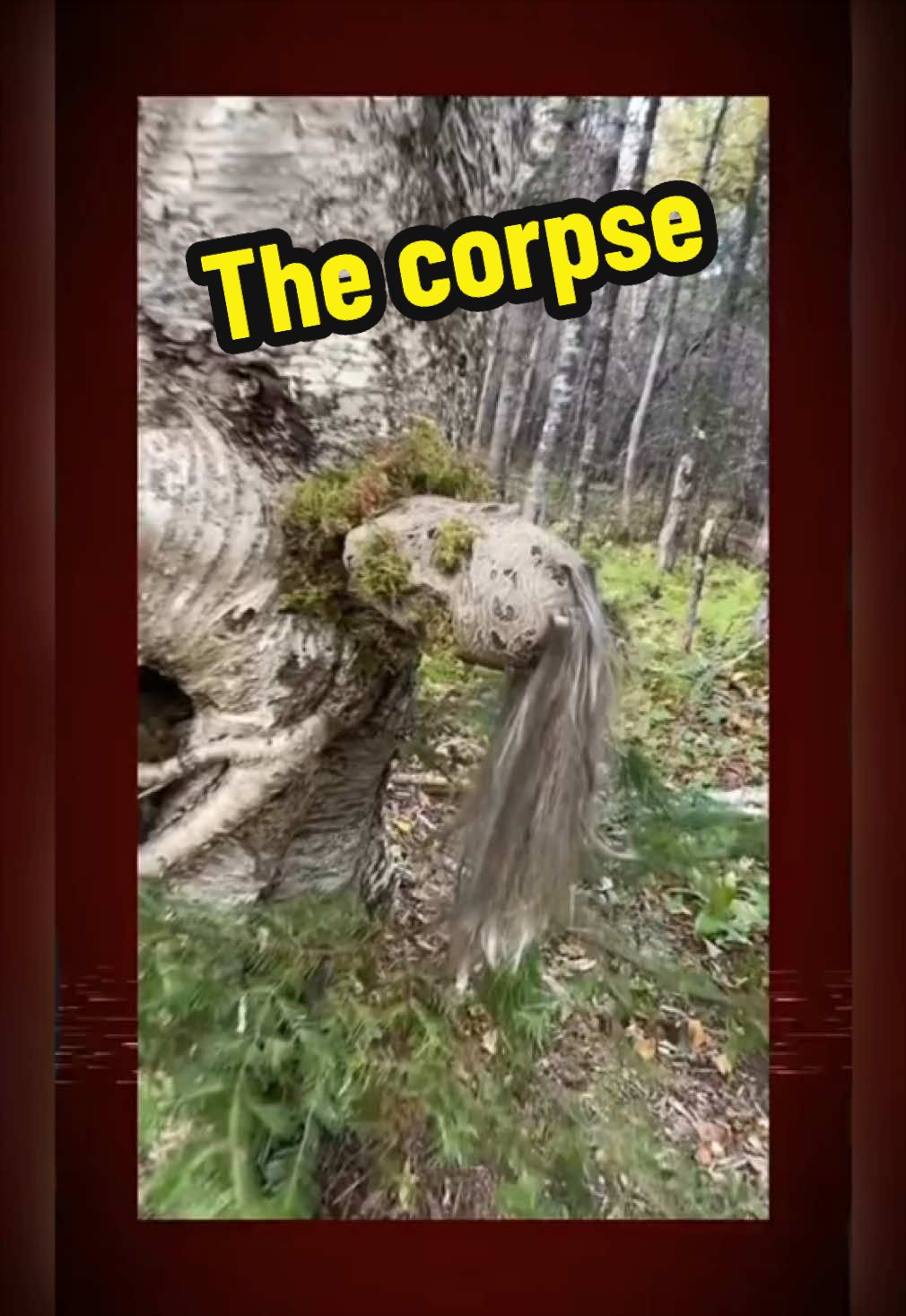The corpse👀😰#horrortokvideos #scaryvideos #creepystories #TrueHorror #fyp 