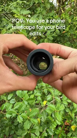 Your camera roll just leveled up 🐦🔭 Crispy bird edits hit different #bird #edit #telescope #nature #fyp 