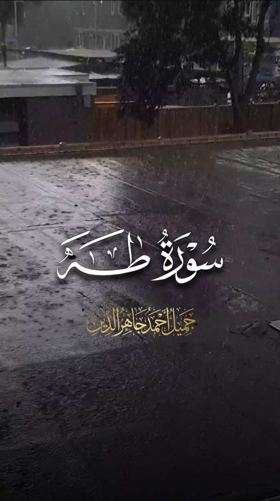 دقيقة مع القرآن🤍 استمع بقلبك... سورة طه من ليالي رمضان 🌙  ضمن برنامج «قراء الشارقة» في مسجد التراحم  #قرآن #راحة #سكينة #رمضان #القرآن_الكريم 