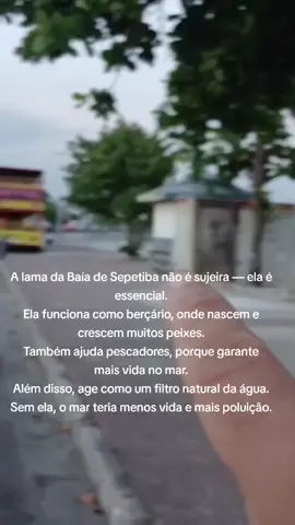 #Sepetiba #ZonOesteRj #Rio de Janeiro #HistóriasDoRio #LugarQueAmo