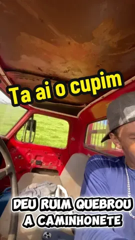 Já me segue aí meta 10k ❤️😍🙏🏻#viral #trabalho #viralvideo #cupim #fy 