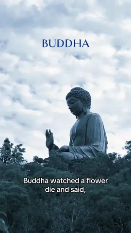 🏛️ Buddha’s entire teaching rests on one idea: nothing lasts. Not your pain. Not your joy. Not the person you love. Your suffering doesn’t come from what happens to you, it comes from believing it should stay. The moment you stop fighting change, you stop suffering. Does this land differently today? 👇 📚 Source : Thich Nhat Hanh, The Heart of the Buddha’s Teaching, Broadway Books, 1998 #buddha #impermanence #wiseworlds #philosophy #wisdom