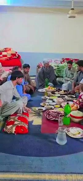 دیر سے آئی ہوئی مہمان 