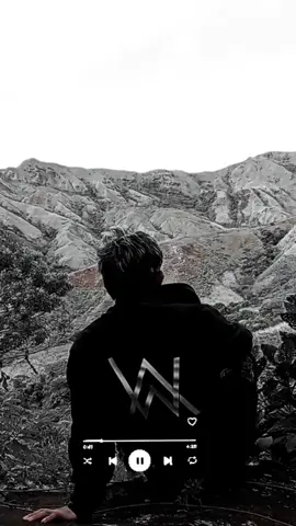 te vas y no volveras, 🥹🎧 #musica #electronicMusic #edwawalker #alanwalker #viraltiktok 
