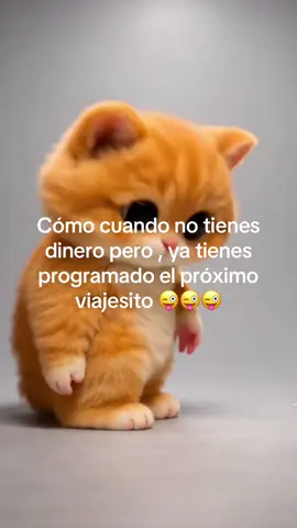 #tiktokmomentscontest 