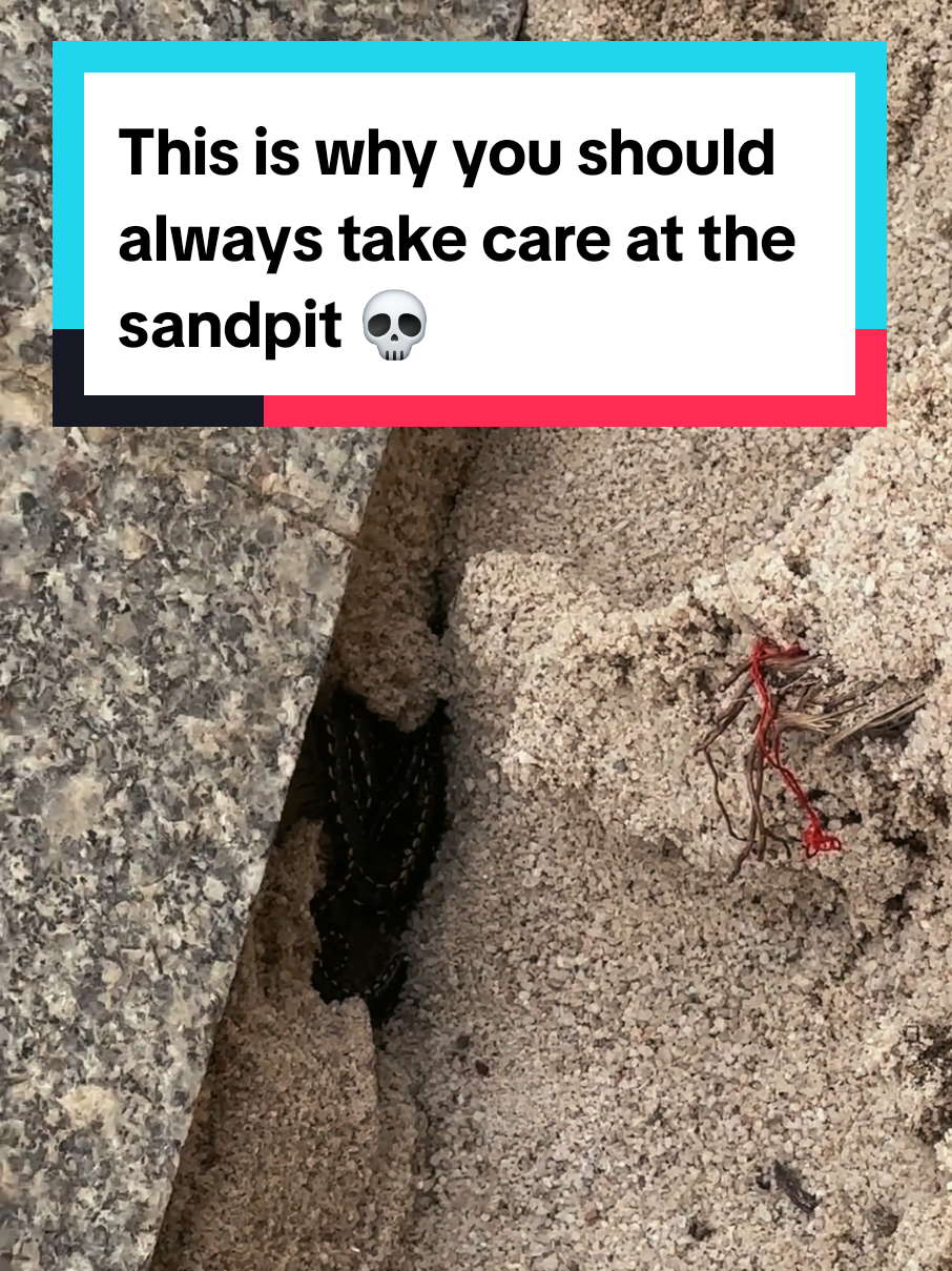 This is why you should always take care at the sandpit 💀 #sandpit 
