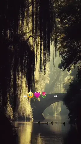 kalinimo😩🩷  #background#video