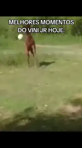 Que jogo fei do Brasil hoje e atuação do vini jr nem se fale... #fyp #foryou #meme #selecaobrasileira #brasil 