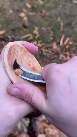 All bite, no bark. #bushcraft #woodcarving #asmr #spooncarving